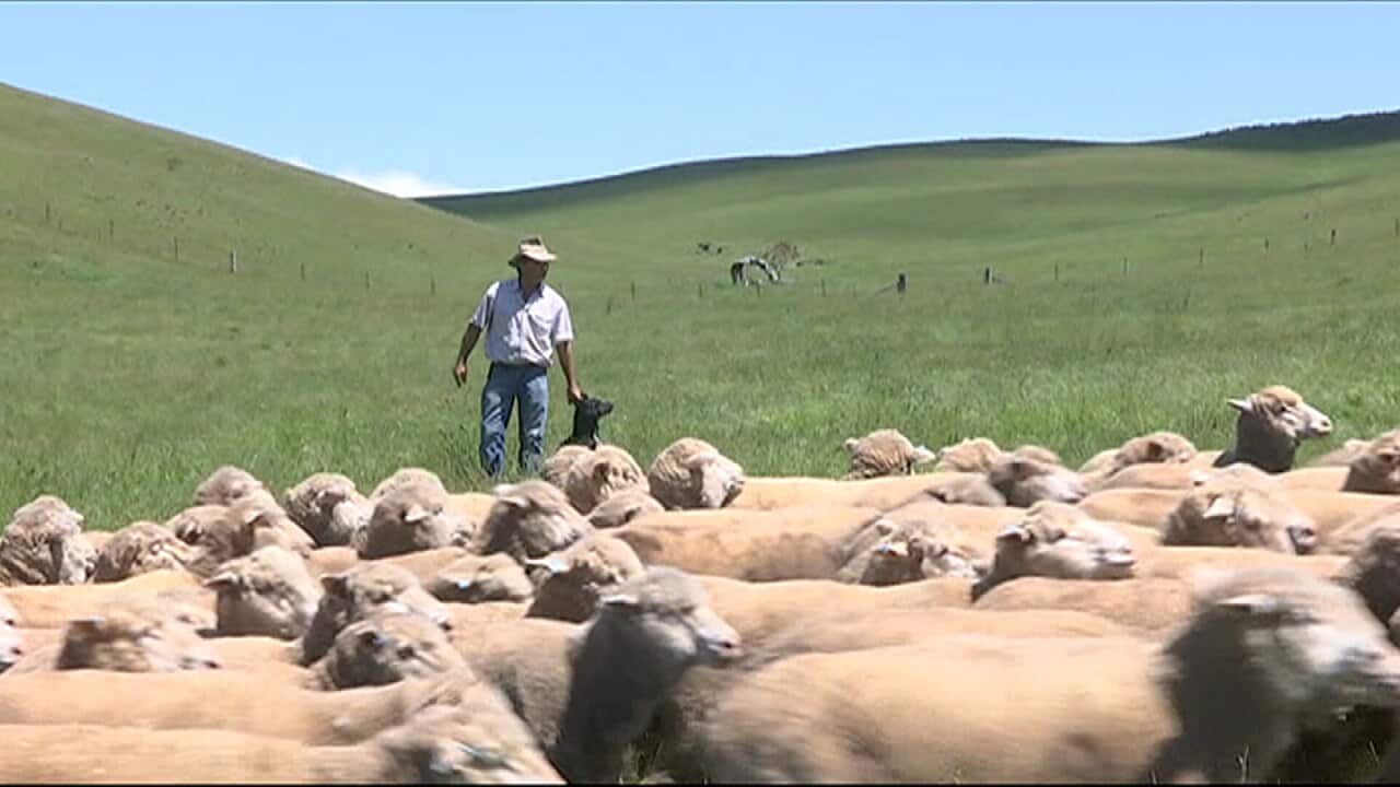 Image for read more article ''