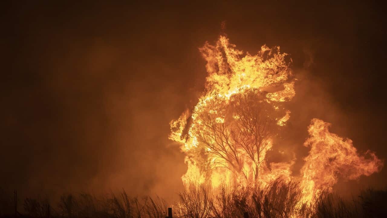 State Of Emergency Declared In ACT As Canberra Braces For Increased Bushfire Threat