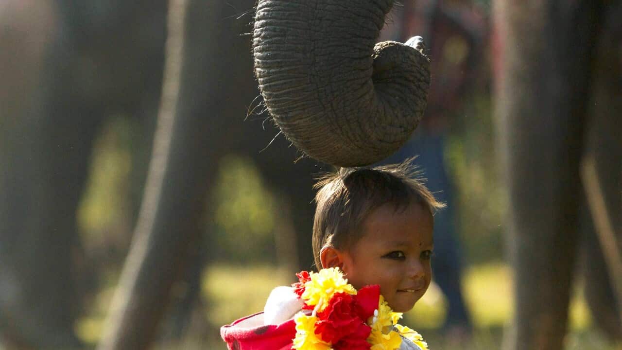 epaselect NNEPAL TRADITION