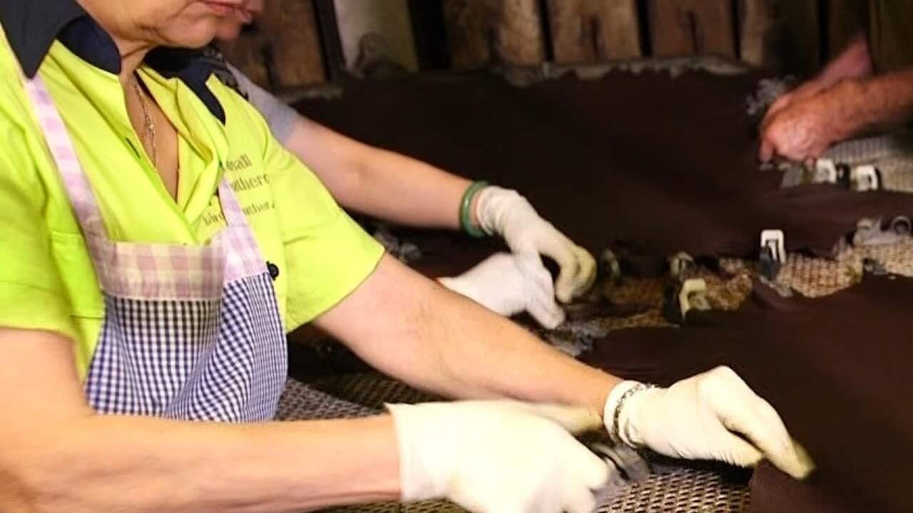 The leather industry has been in decline, but the Birdsalls have weathered the storm.