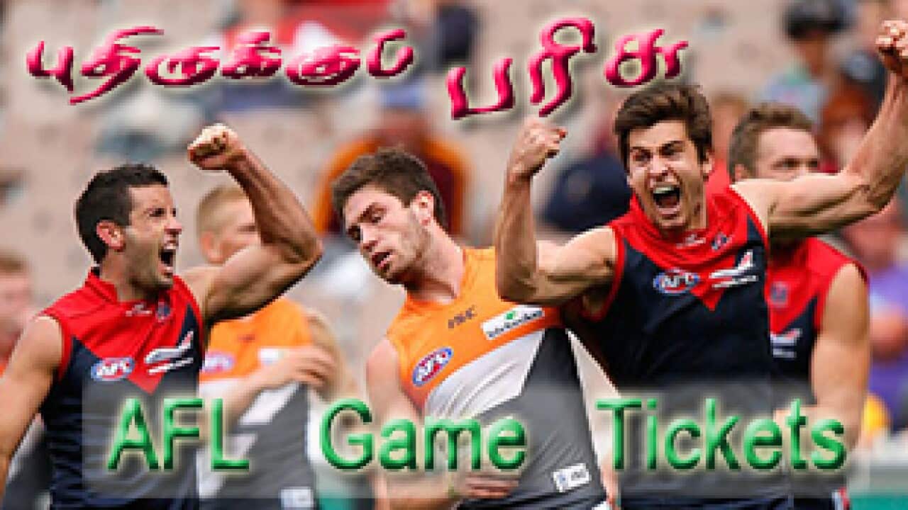 Michael Willson/AFL Media