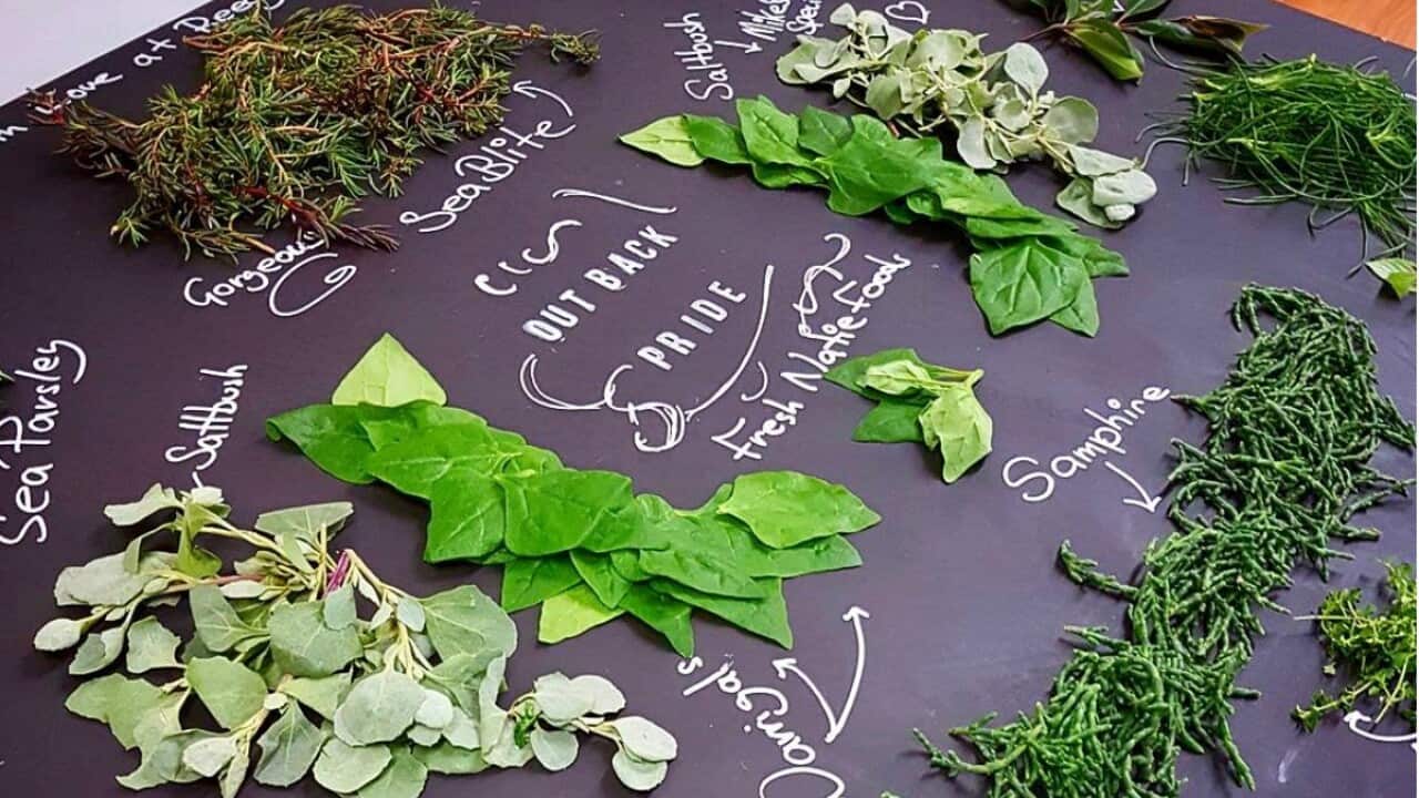 Image for read more article 'NATIVE FLAVOURS'