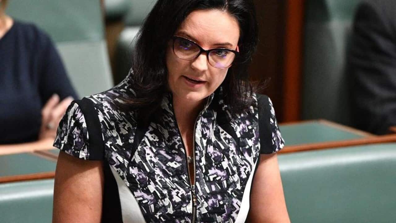 File image of Labor MP Emma Husar in the House of Reps.