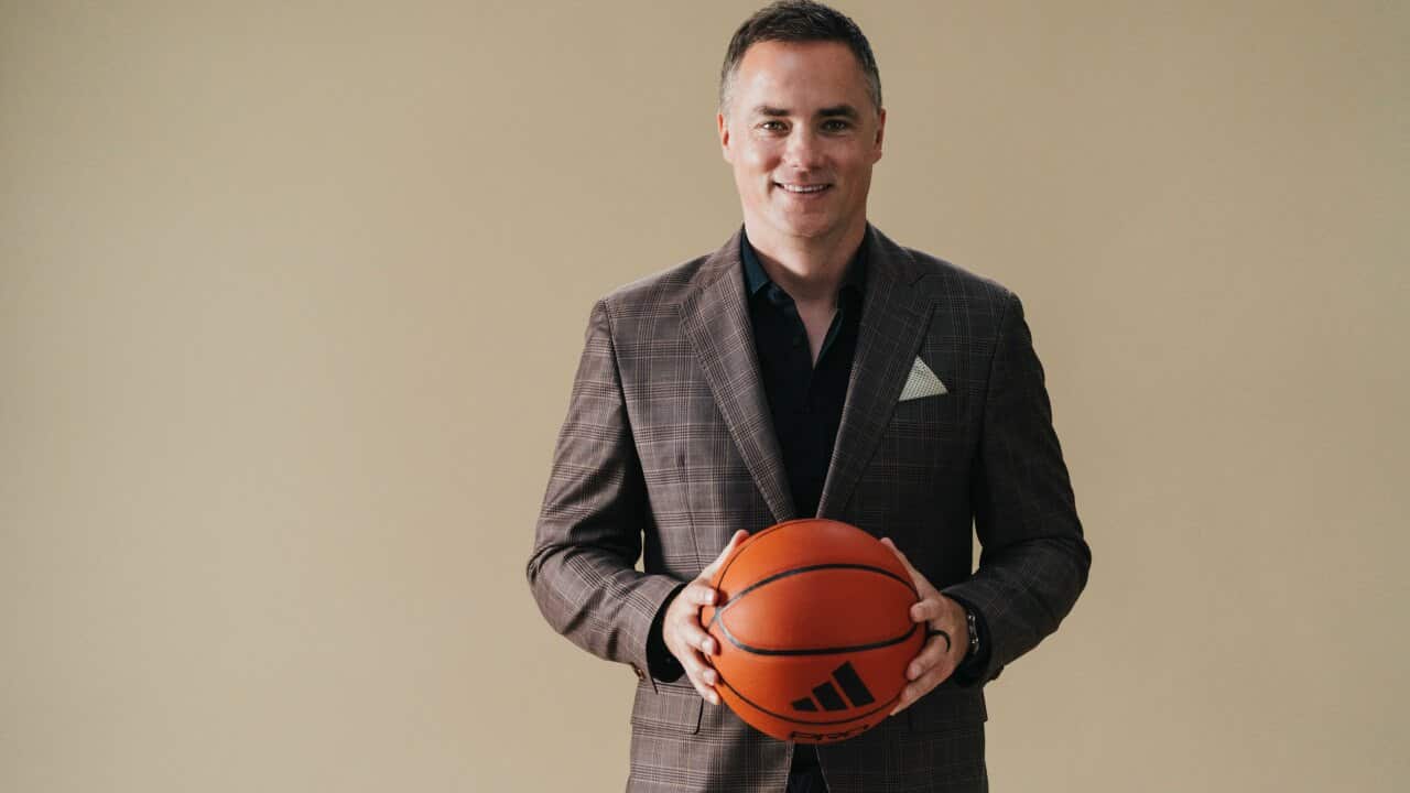 NBL Director Nikola Milivojevic