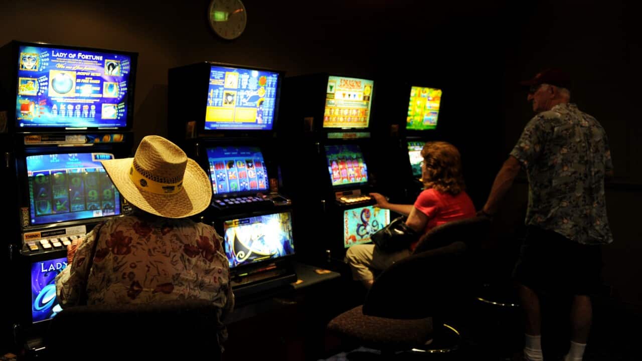Punters playing on poker machines