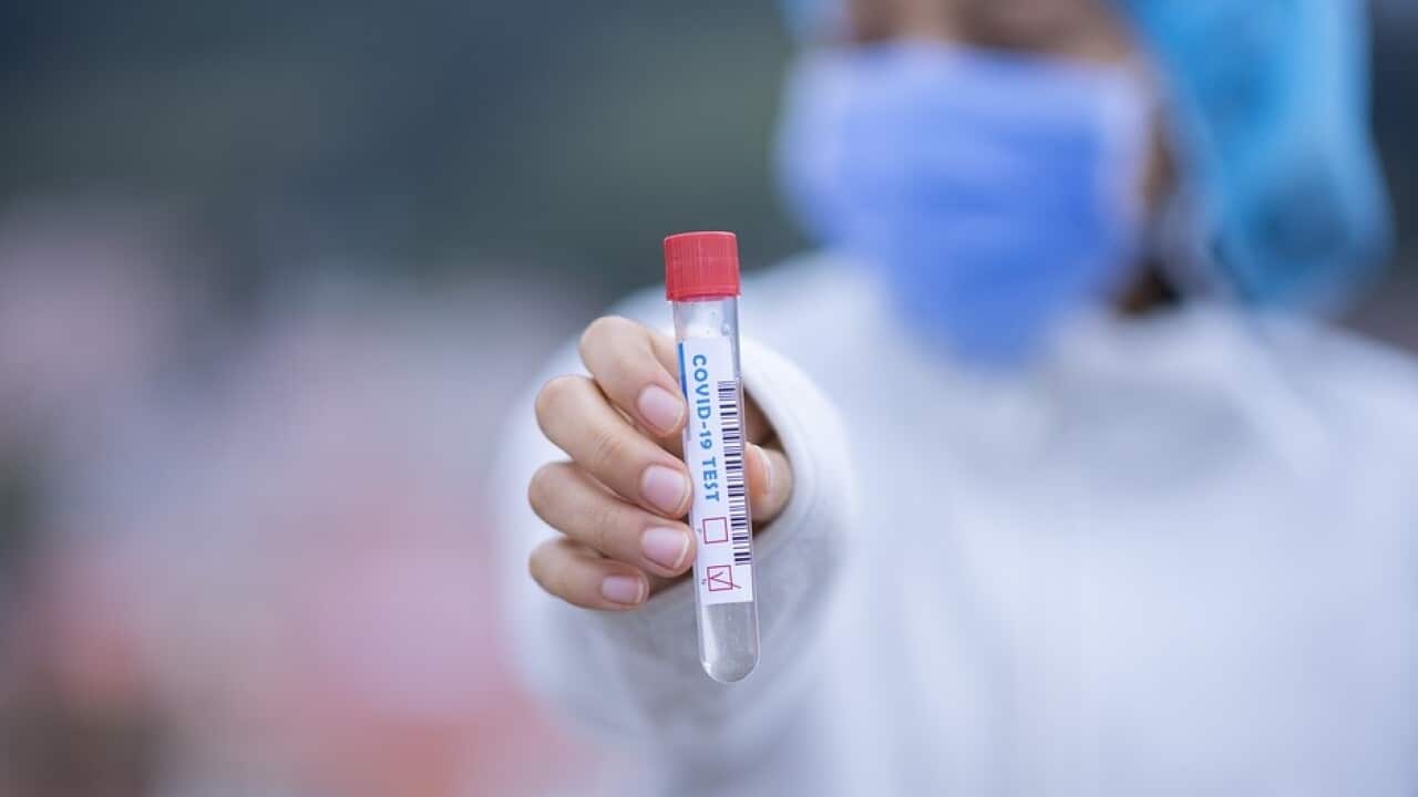 PCR Test