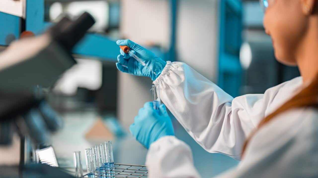 Young female scientist conducting research in a lab.