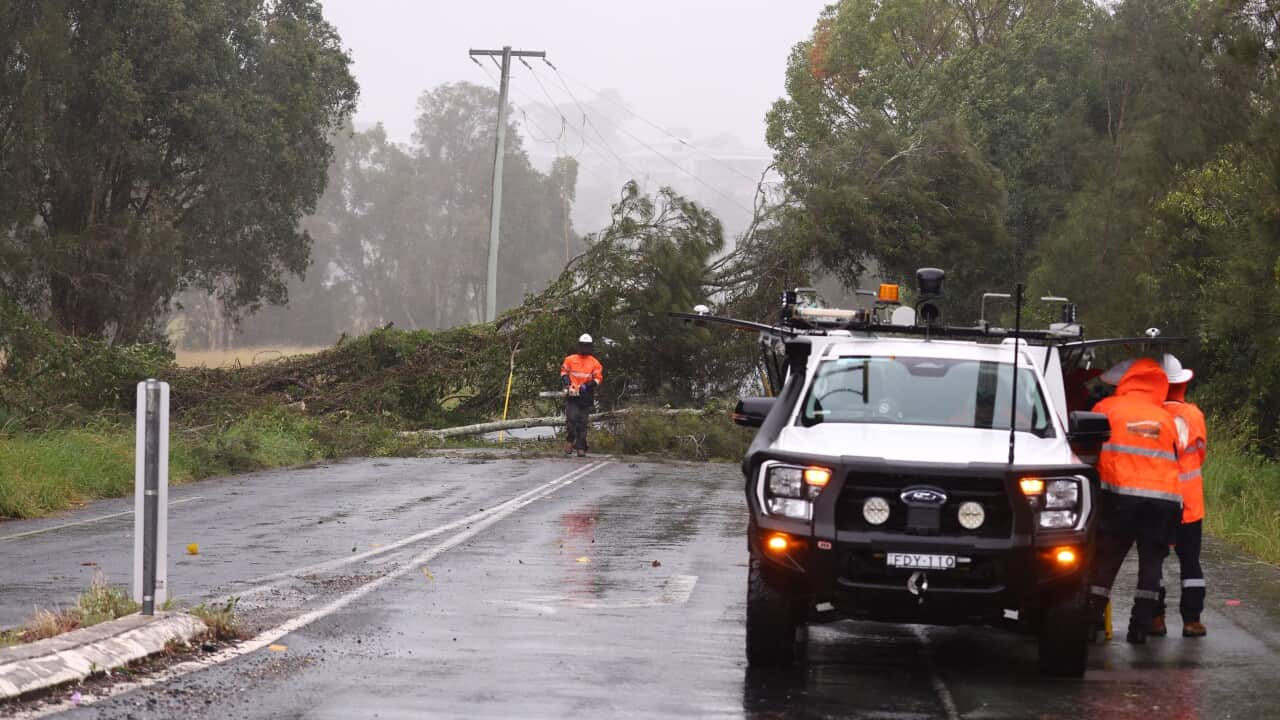 TROPICAL CYCLONE ALFRED