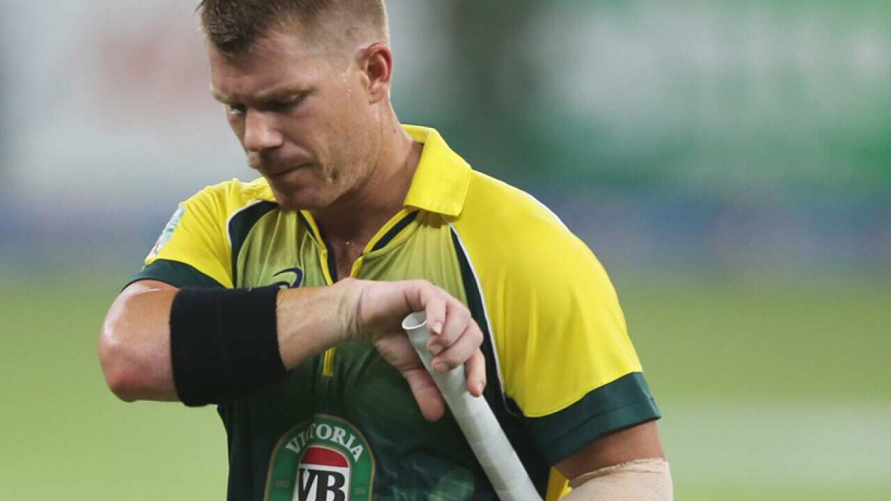 David Warner walks off the pitch