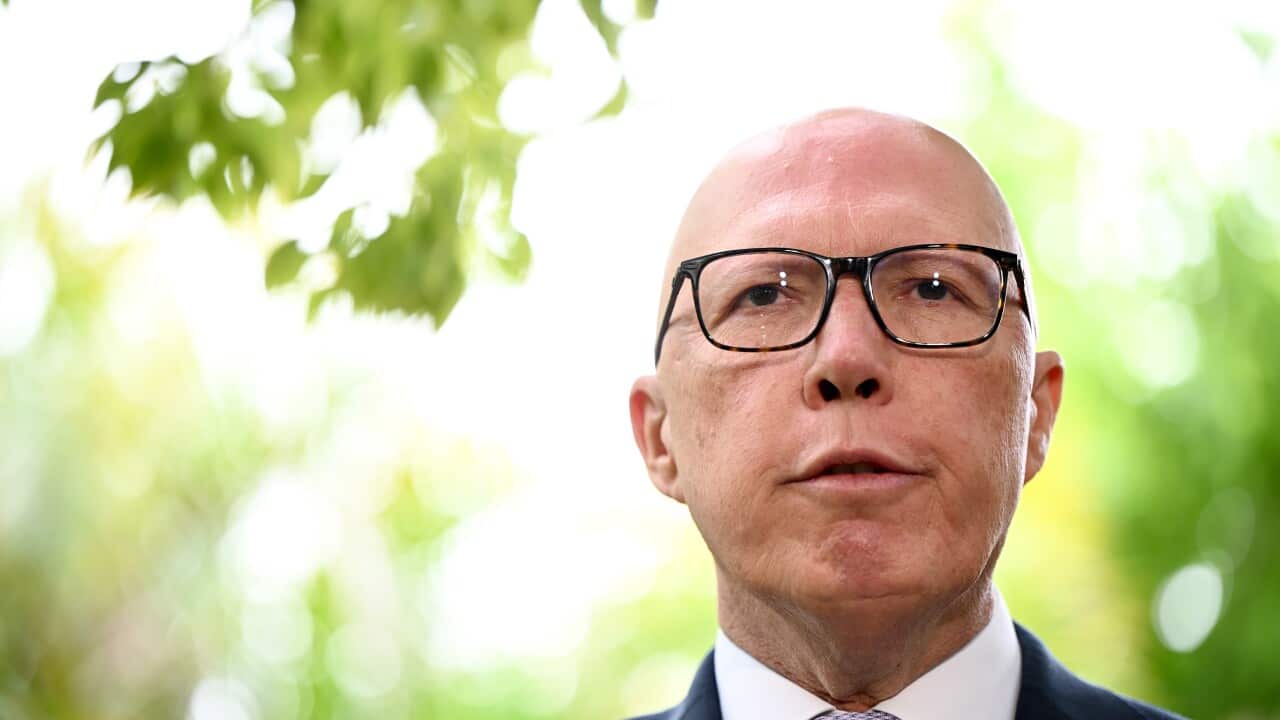 Image for read more article 'READ MORE'