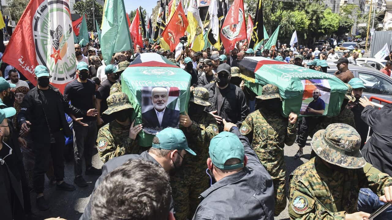 Image for read more article 'READ MORE'