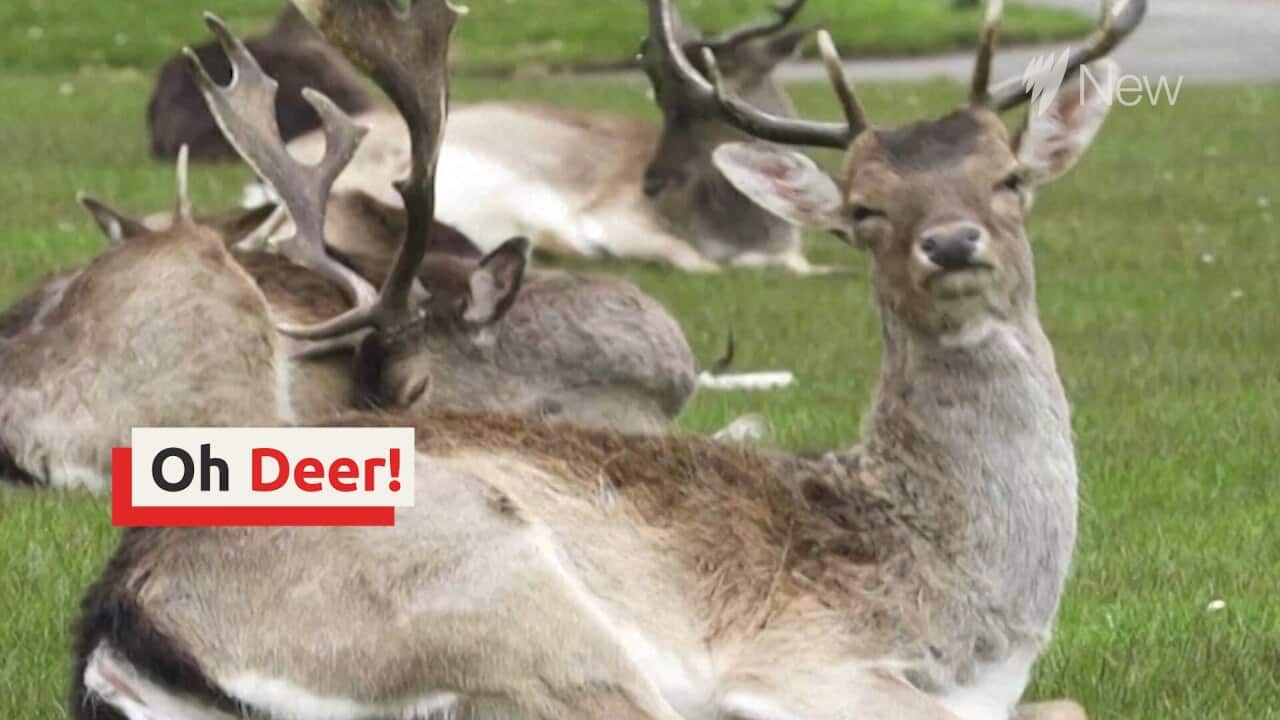 Image for read more article 'READ MORE'