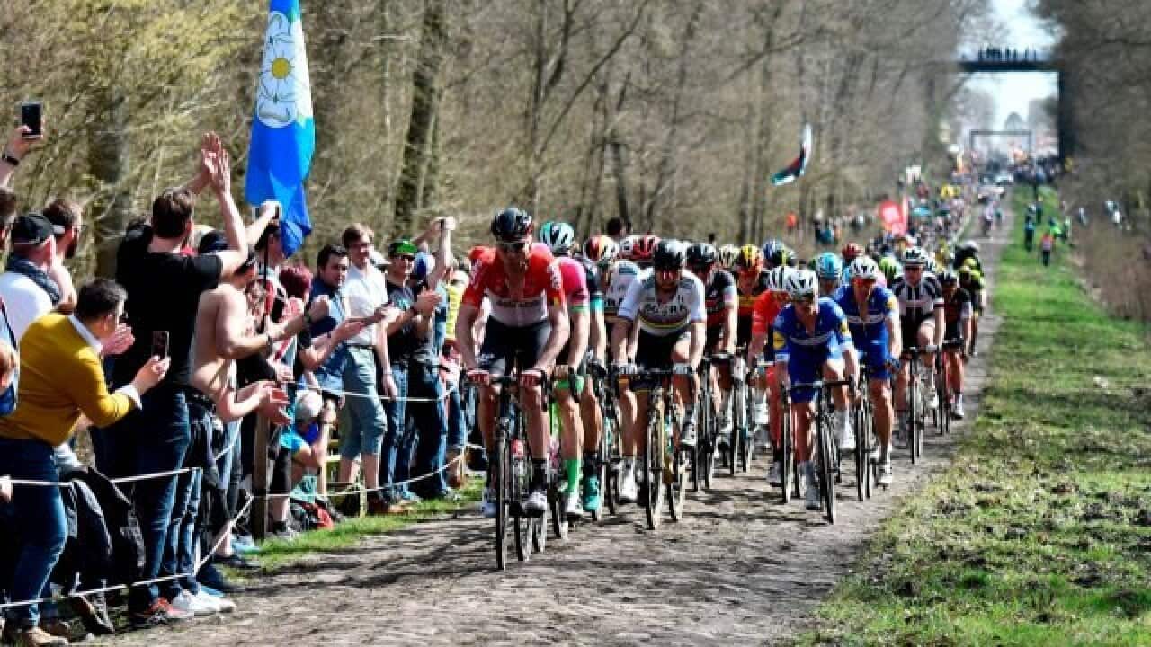 Paris roubaix 2019 sbs sales