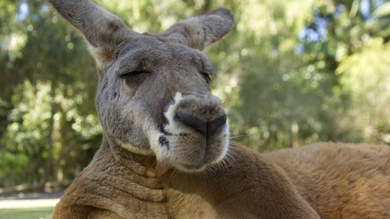 Image for read more article 'Related reading'