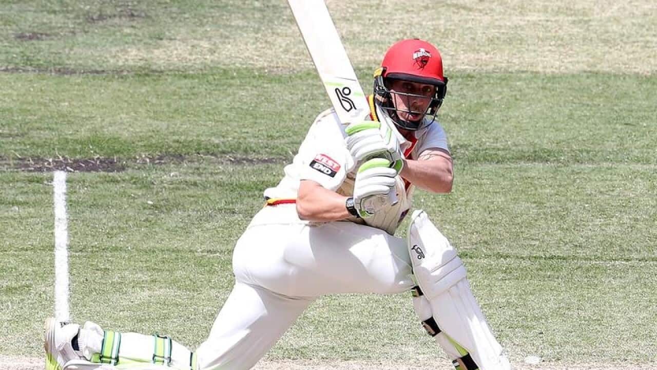 Cricketer Jake Lehmann