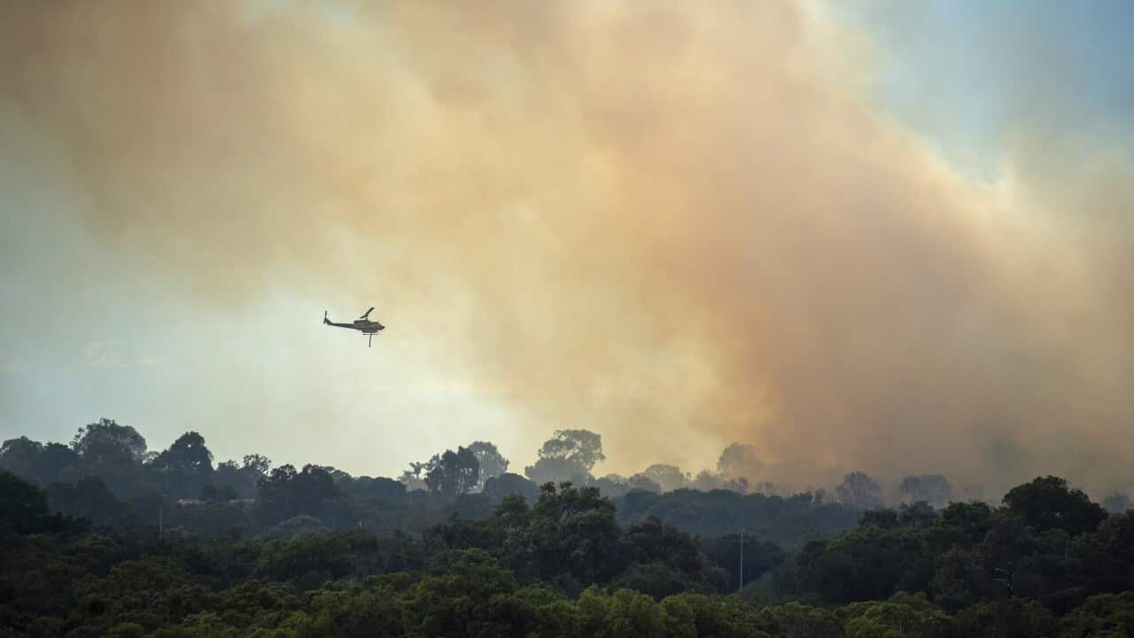Farmer who died in bushfires identified as deputy shire president of WA Town Farmer who died in bushfires identified as deputy shire president of WA Town