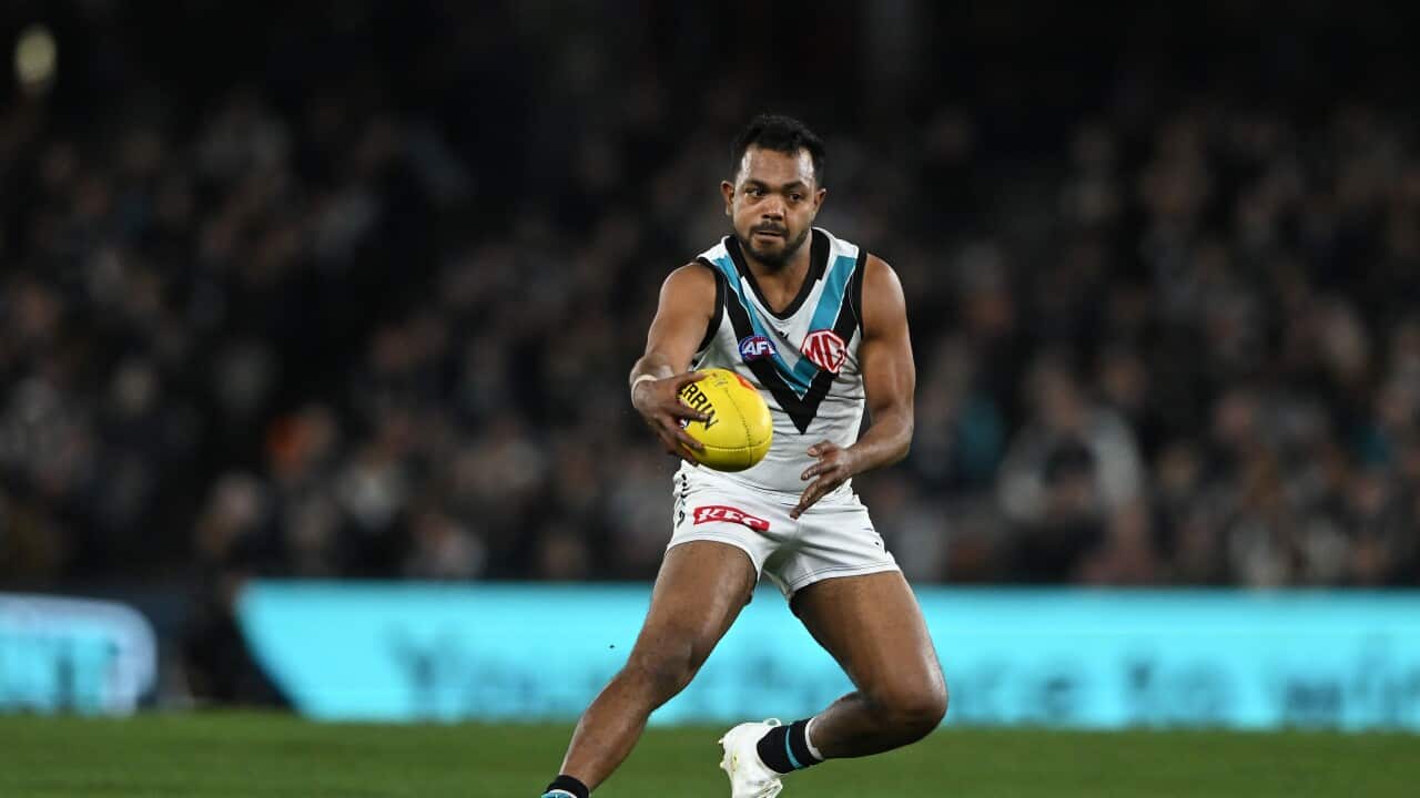 AFL BLUES POWER