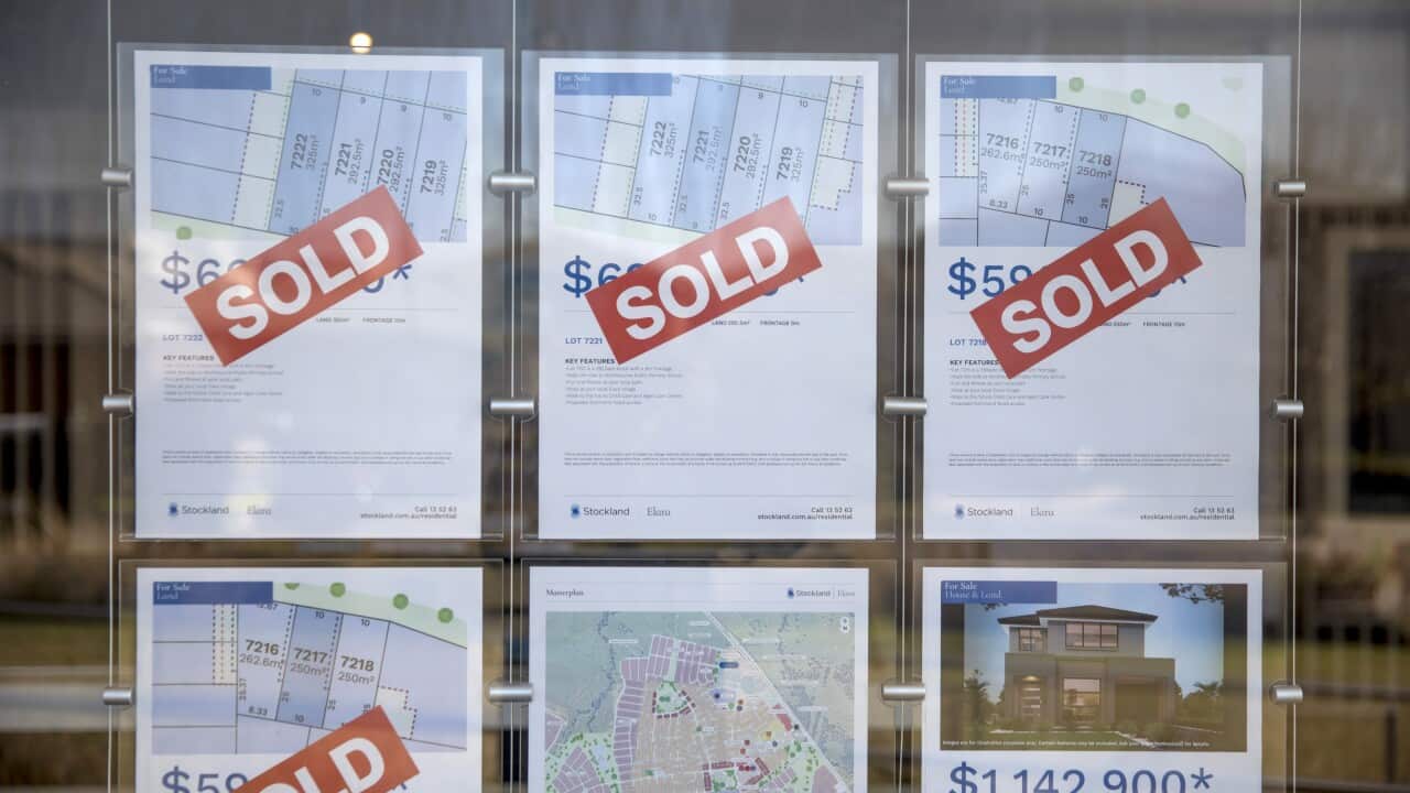 Several listings on a shop window