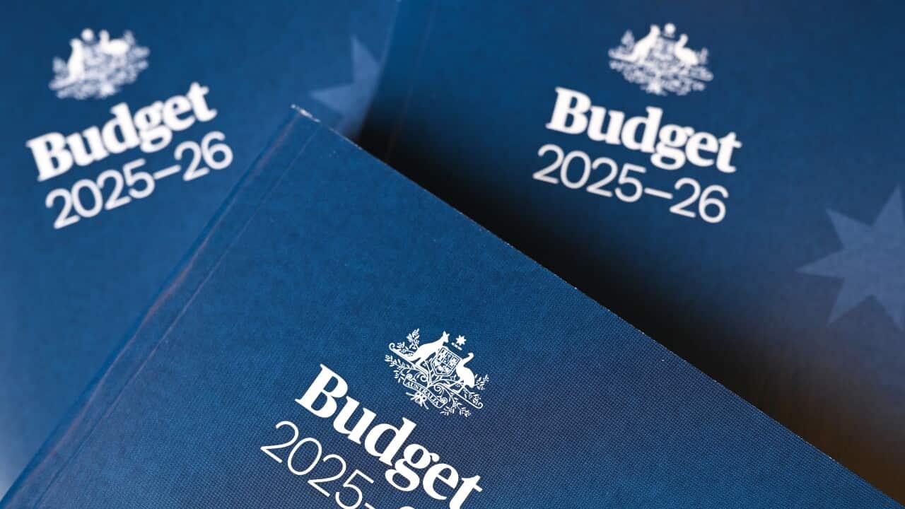 ALCBudget2025 FEDERAL BUDGET 2025