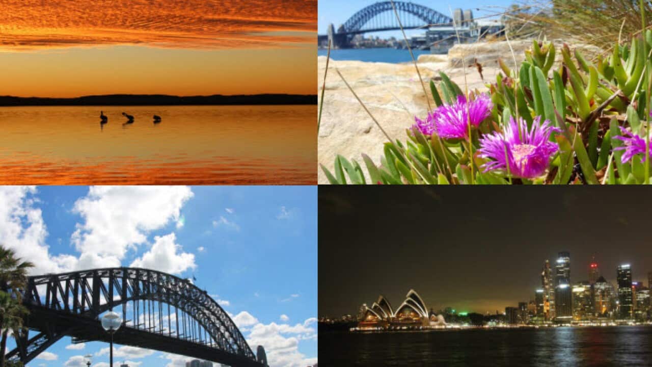 Sydney