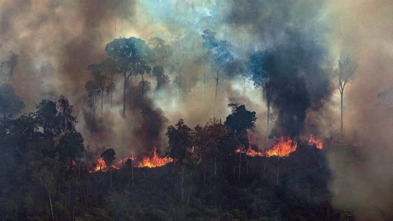 Smoke rising from the fire at the Amazon forest in Novo Progresso in the state of Para, Brazil