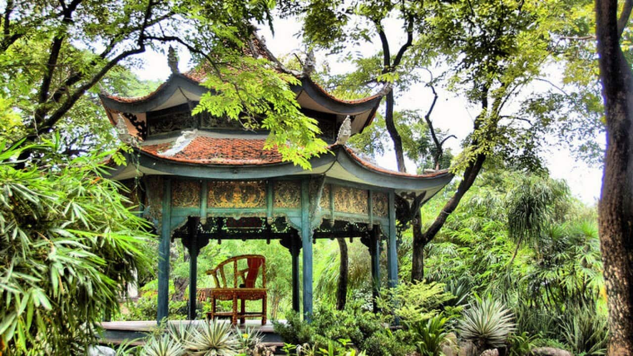 The Palace Garden