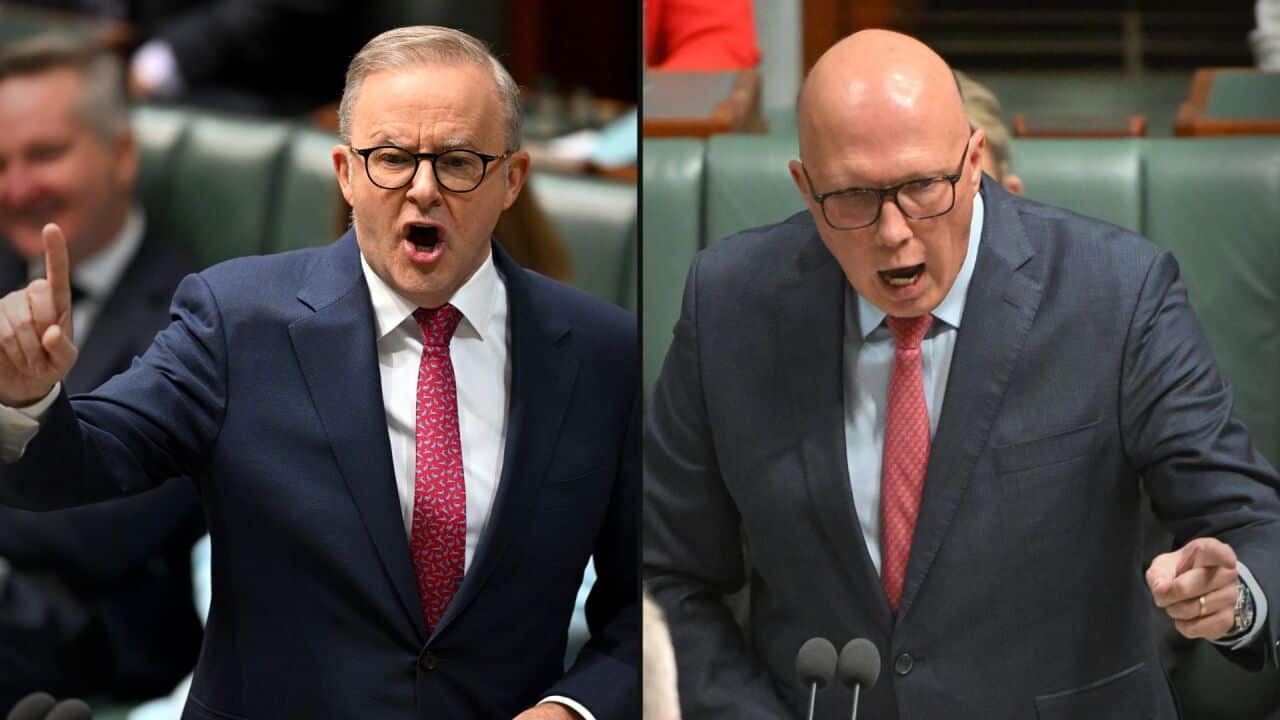 A composite of Anthony Albanese and Peter Dutton.