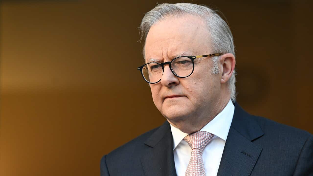 Prime Minister Anthony Albanese wearing a suit, tie and glasses.