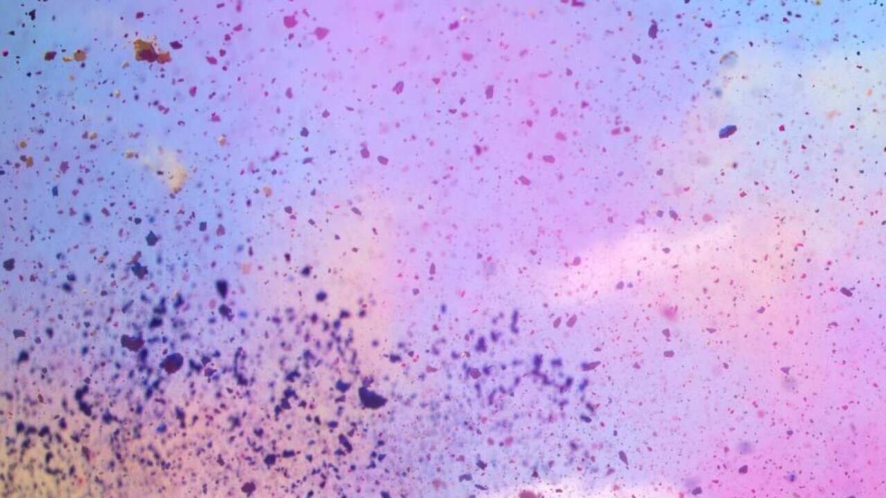 Image for read more article ''