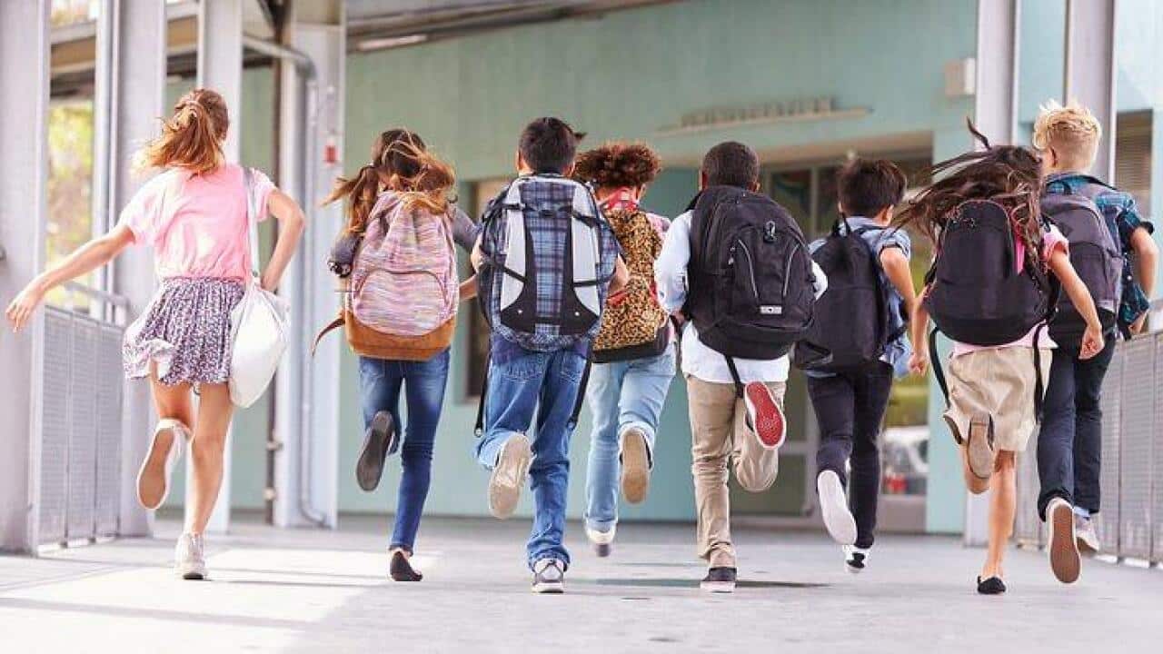 Group of elementary school kids running at school, back view