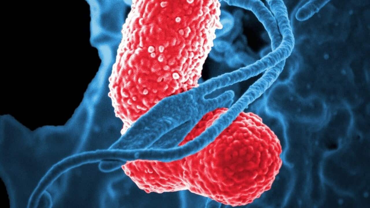 Image for read more article ''