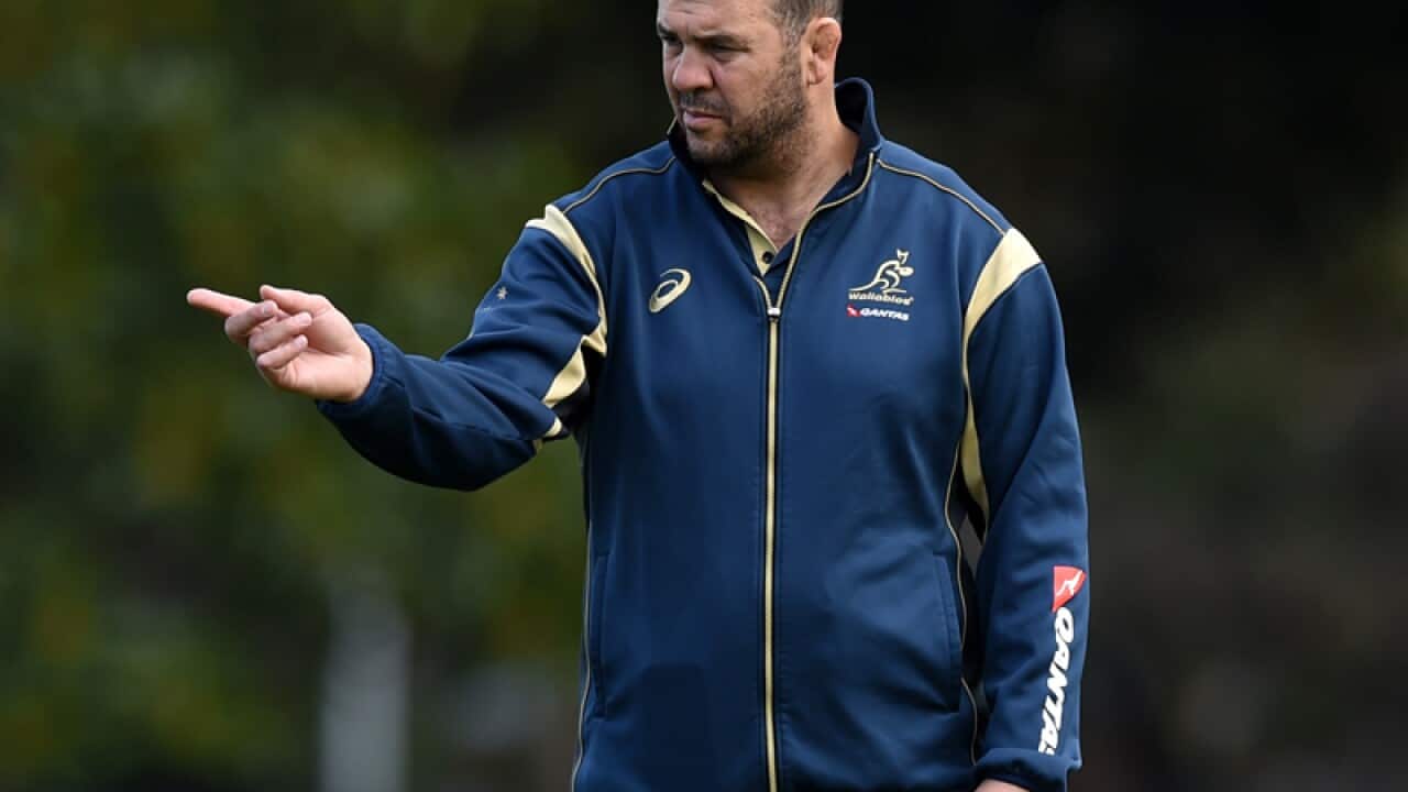 Australian rugby union coach Michael Cheika