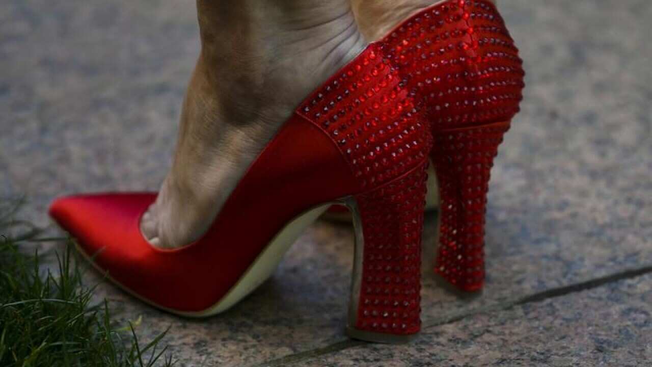 Julie Bishop's Dorothy shoes