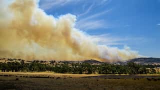 Smoke over bushland, trees and a paddock in the foreground