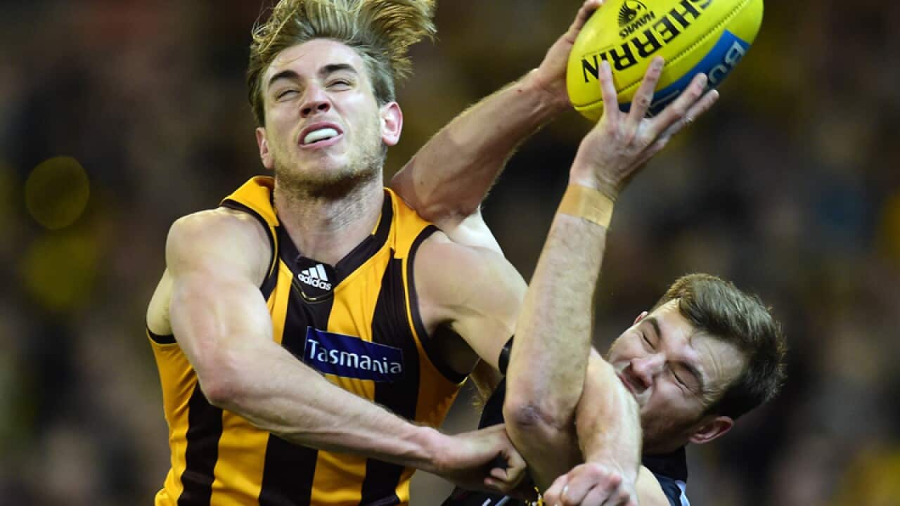 Hawthorn Hawks player Ryan Schoenmakers