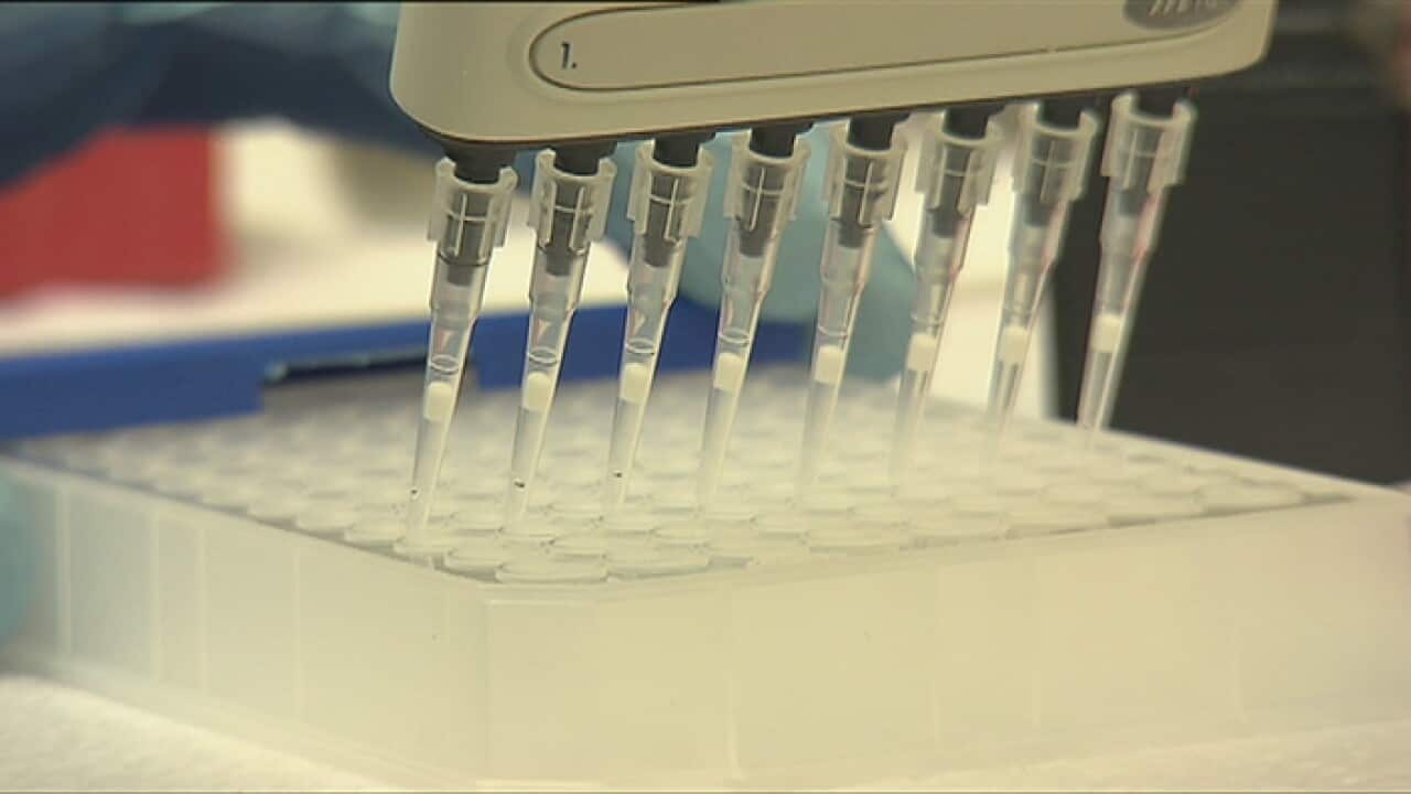 Laboratory testing.