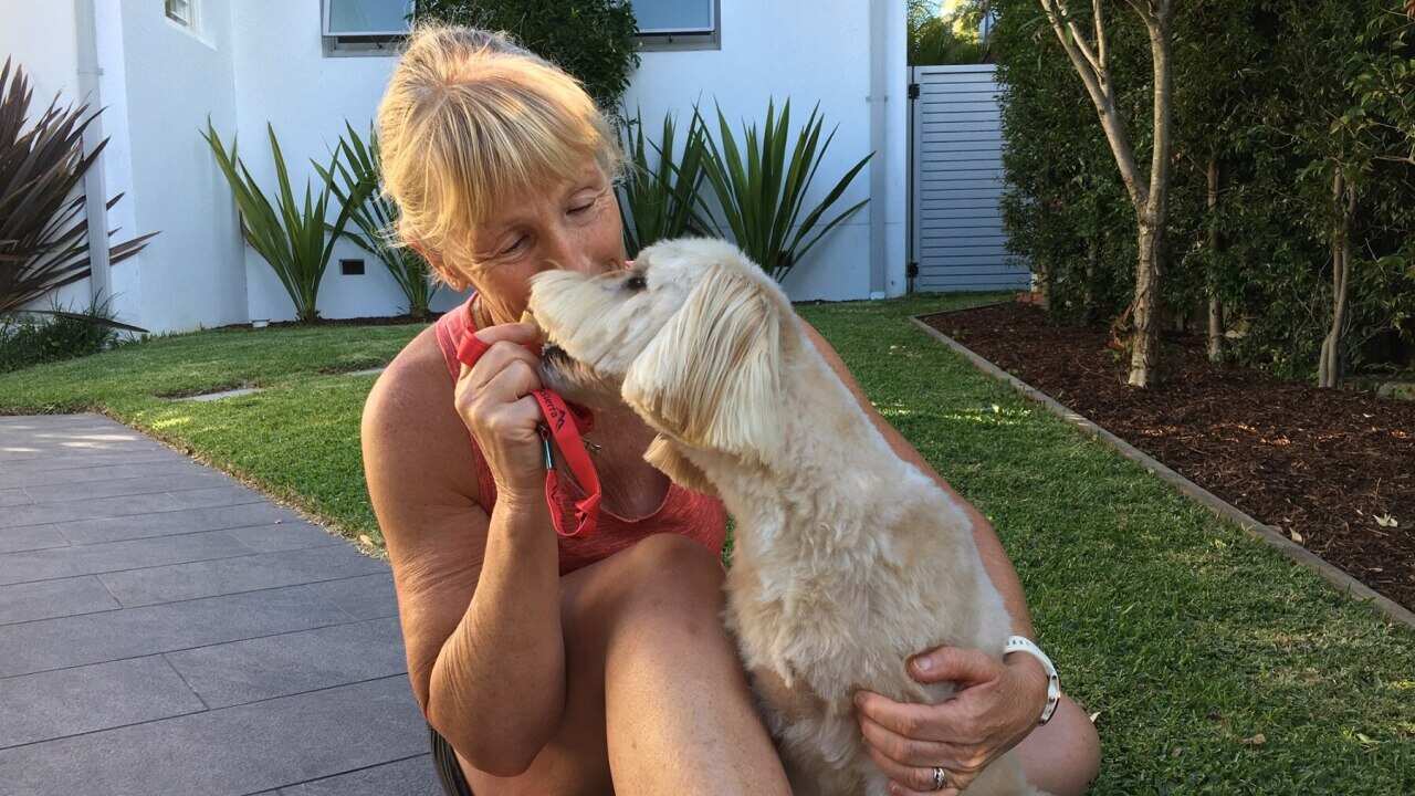 Image for read more article ''