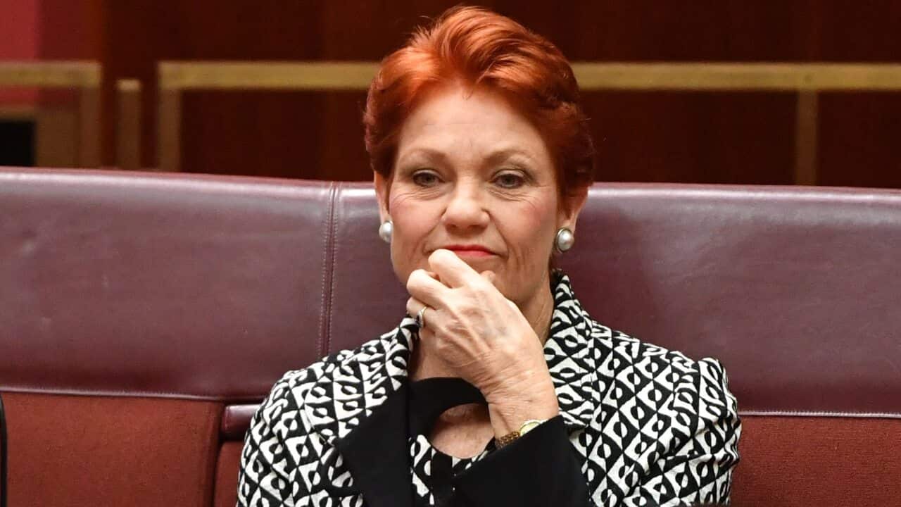 One Nation leader Senator Pauline Hanson in the Senate chamber at Parliament House in Canberra, Wednesday, June 17, 2020. (AAP Image/Mick Tsikas) NO ARCHIVING