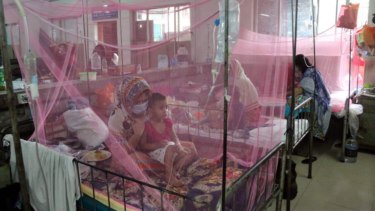 Image for read more article ''