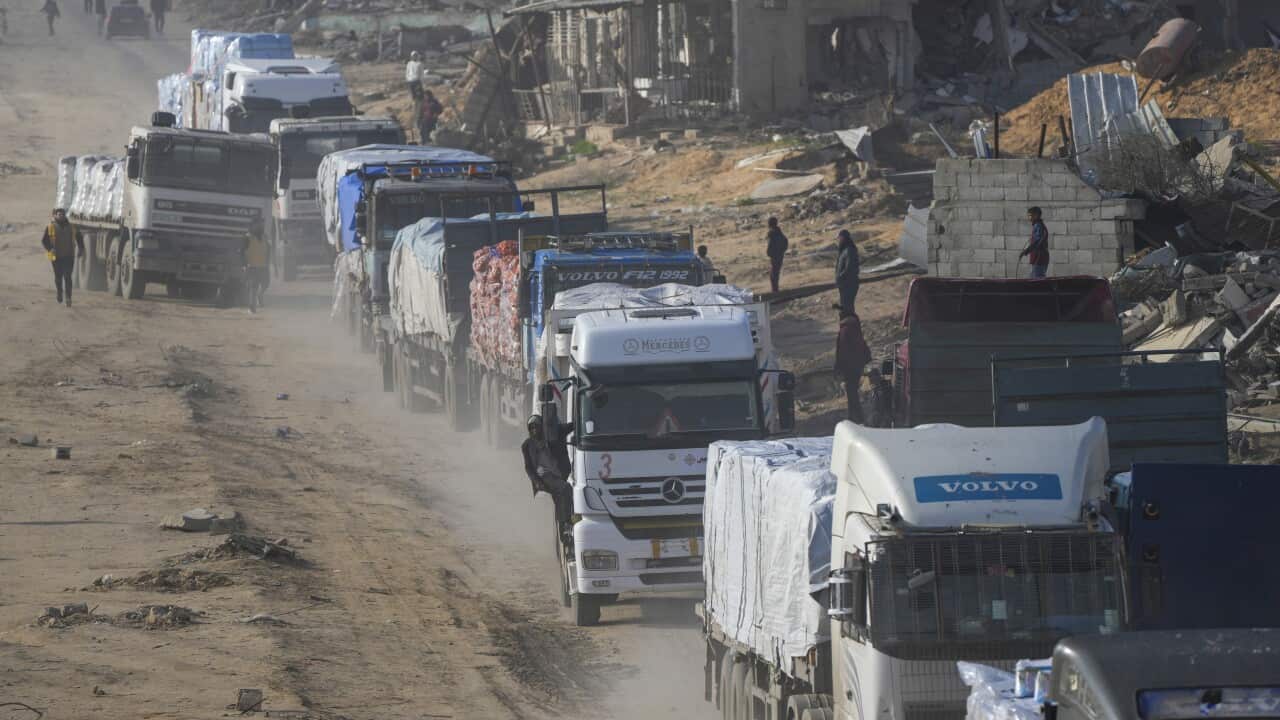 UN says no aid has been distributed in Gaza, warns 14,000 babies could suffer acute malnutrition UN says no aid has been distributed in Gaza, warns 14,000 babies could suffer acute malnutrition