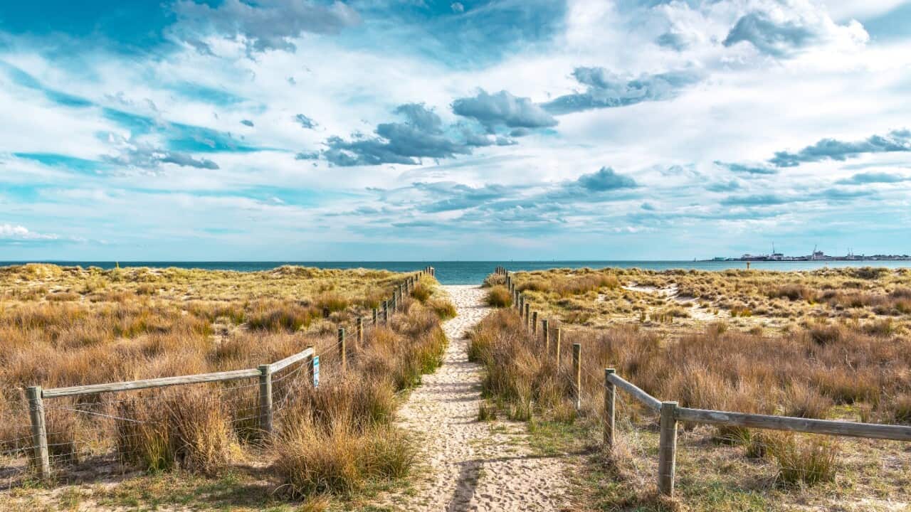 Image for read more article 'READ MORE'