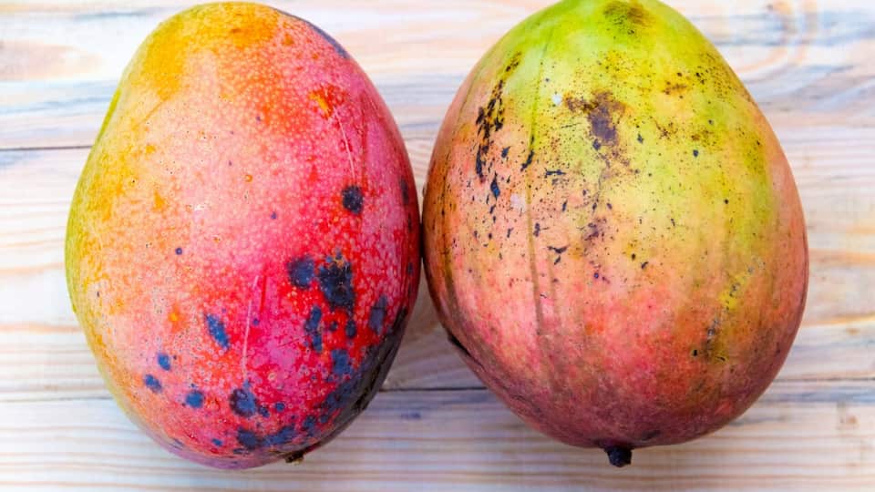 Mangoes don't belong in the fridge The fruit hacks you need to know