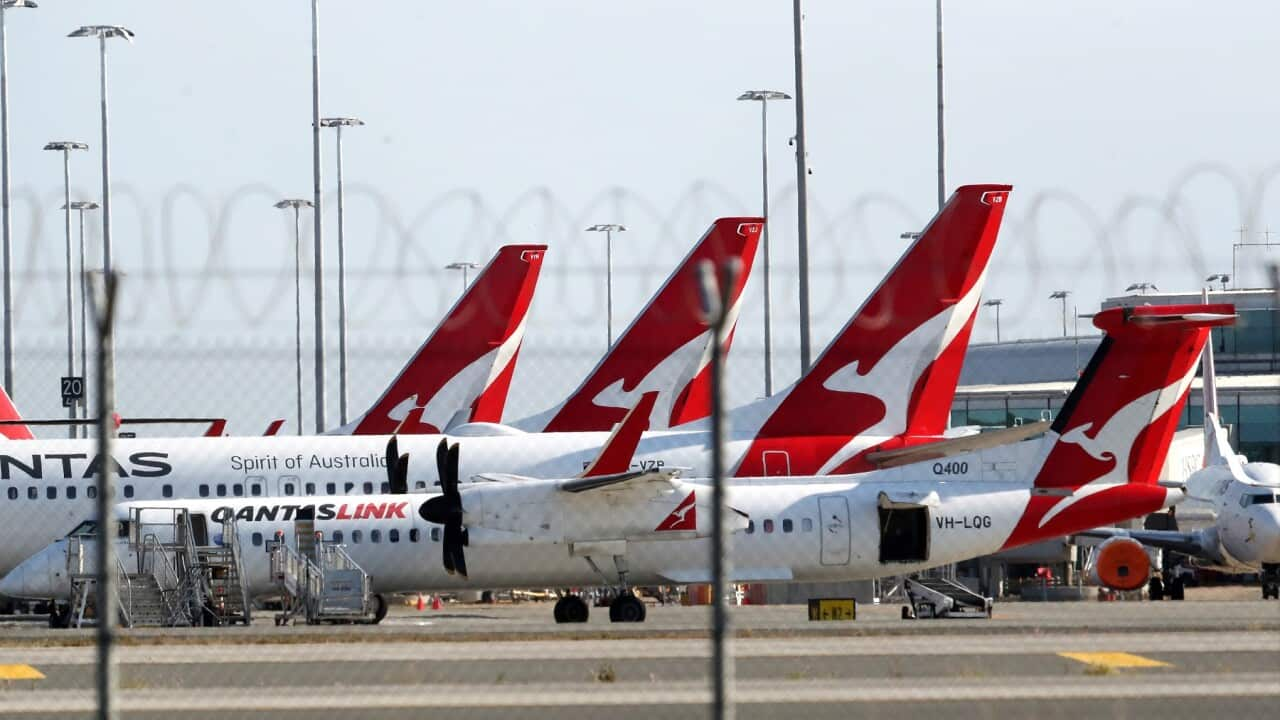 A general view of Qantas planes at Brisbane domestic airport. Monday, September 20, 2021. A traveller has tested positive for COVID-19 after potentially being infectious at Brisbane Airport for four hours.(AAP Image/Jono Searle) NO ARCHIVING