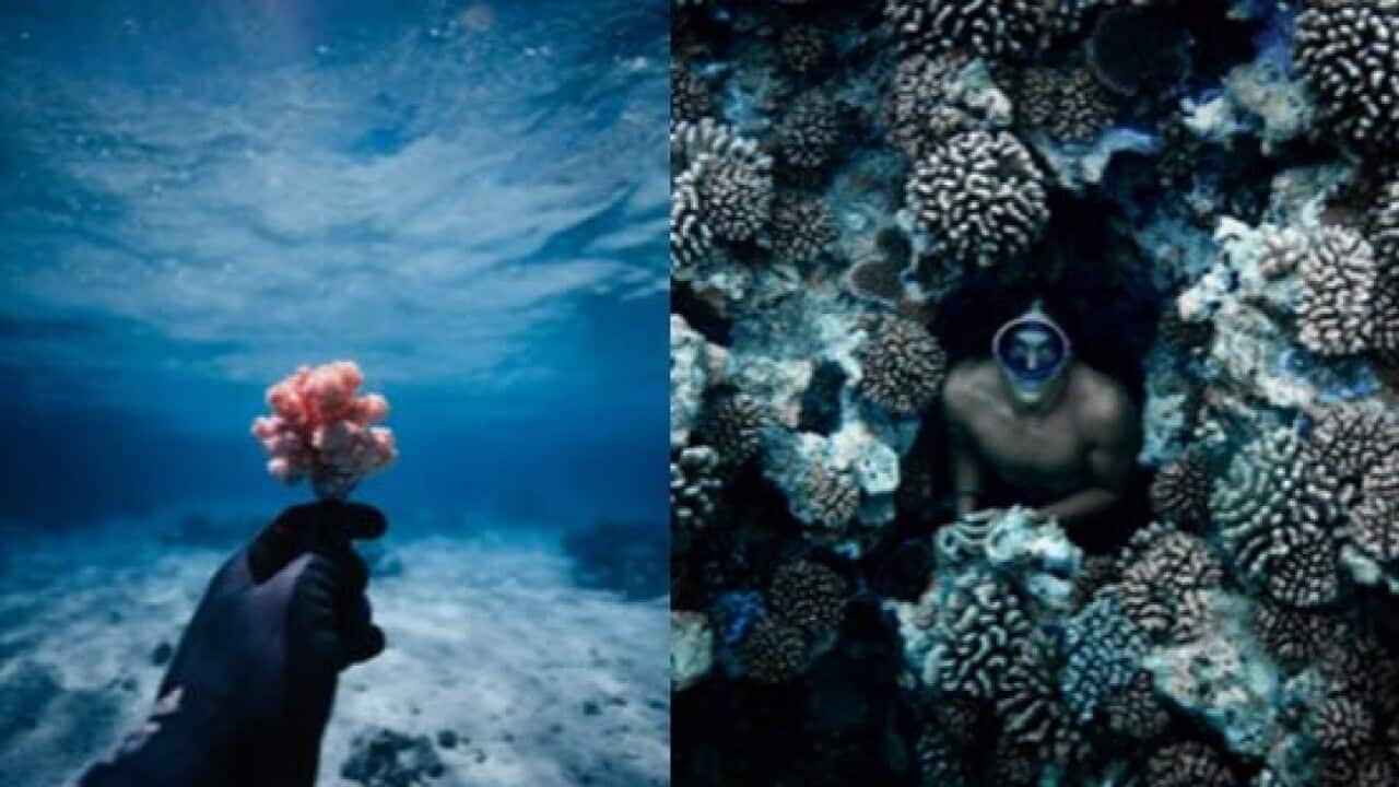 Journée mondiale de l’océan