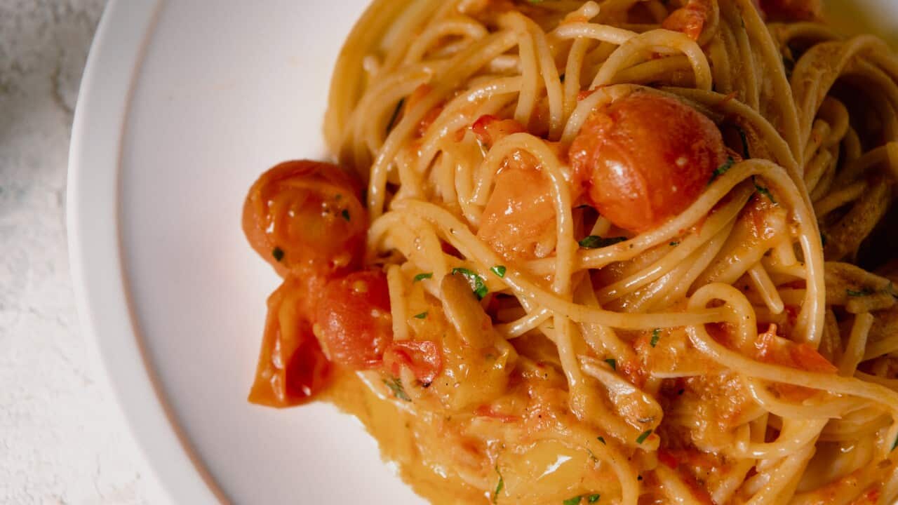 Spaghetti with confit cherry tomato and fennel seed