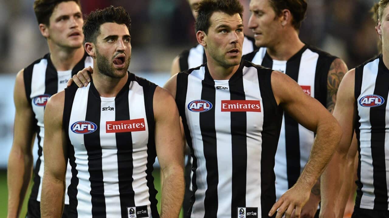 The Magpies leave the ground