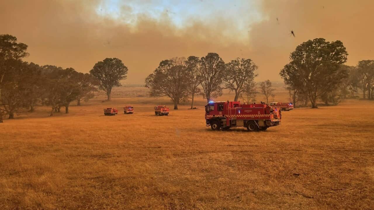 VICTORIA FIRE DANGER PERIOD