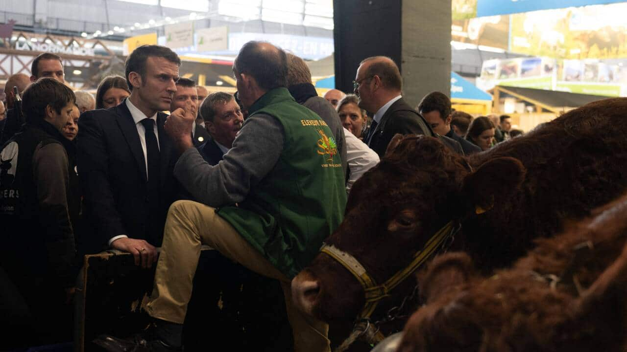 President Macron Visits Agriculture Fair - Paris