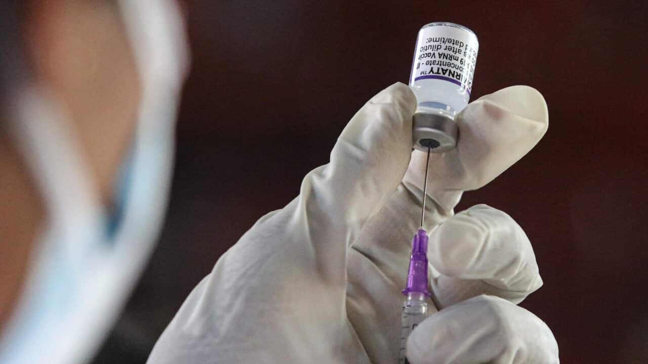 Image for read more article 'Veja também:'