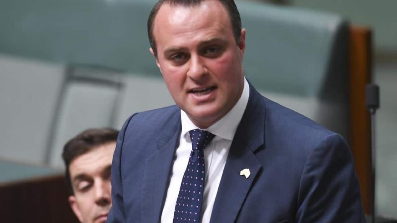 Image for read more article 'READ MORE'